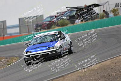 media/May-03-2025-Lucky Dog Racing (Sat) [[206de64b9d]]/Turn 4 B (1150am-130pm)/